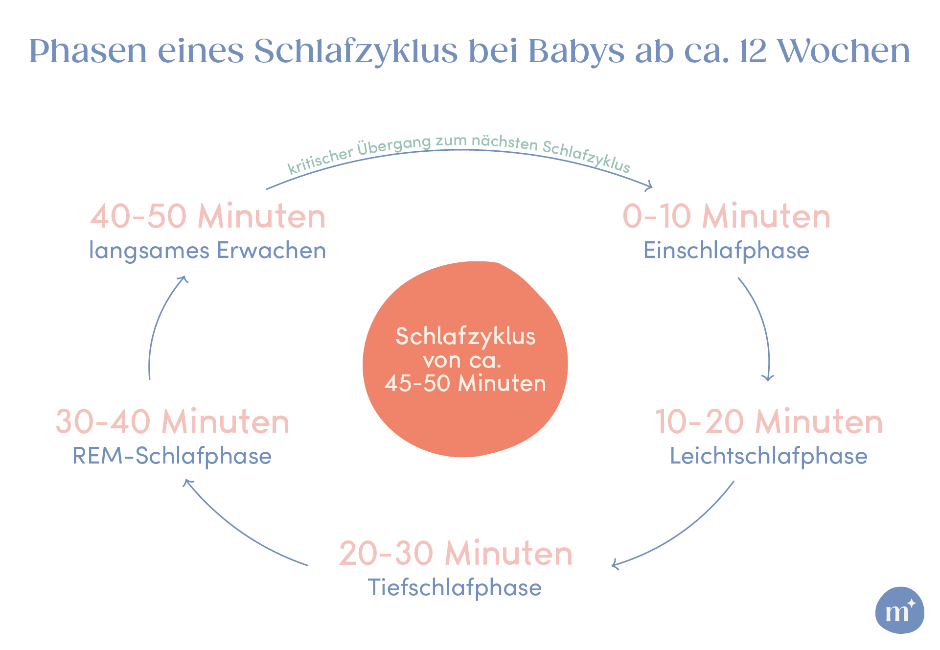 Schlafzyklus Baby